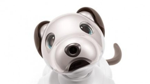 我从互联网大厂裸辞干AI机器狗销售代理，这半年我发现真相比科幻片还刺激